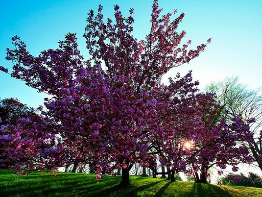 Spaziergang im Kurpark, Baden bei Wien Spaziergang im Kurpark, Baden bei Wien